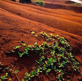 赛博朋克等距射击游戏《SlavicPunk: Oldtimer》公布 登陆Steam